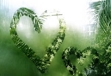 上海:首届长三角青少年篮球联赛启幕.