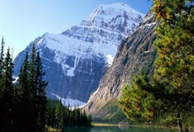 图片报:若特狮伤愈后找不回最佳状态,诺伊尔可能参加世界杯.