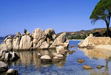 上海:首届长三角青少年篮球联赛启幕.